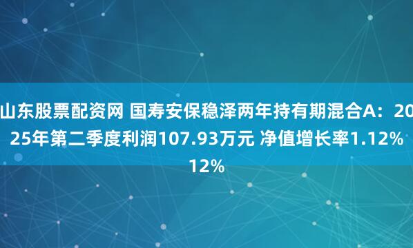 山东股票配资网 国寿安保稳泽两年持有期混合A：2025年第二季度利润107.93万元 净值增长率1.12%