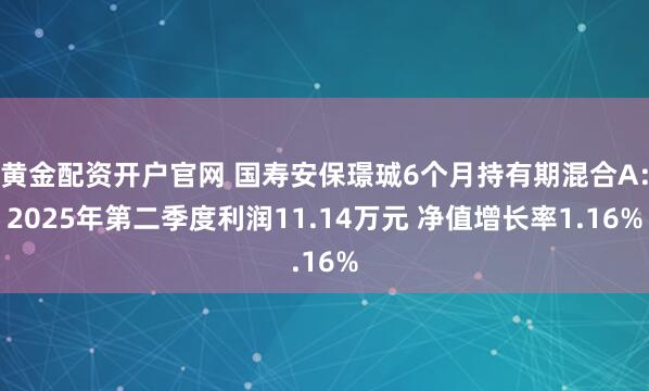 黄金配资开户官网 国寿安保璟珹6个月持有期混合A：2025年第二季度利润11.14万元 净值增长率1.16%