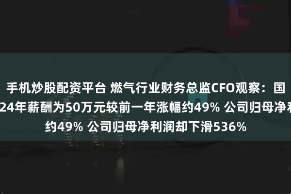 手机炒股配资平台 燃气行业财务总监CFO观察：国新能源毋建冰2024年薪酬为50万元较前一年涨幅约49% 公司归母净利润却下滑536%